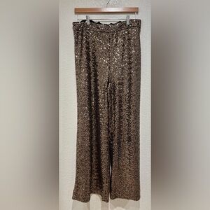 Banana Republic Sparkling Brown Maxi Skirt